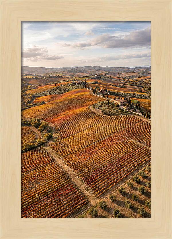 Seasonal Splendor In Tuscany