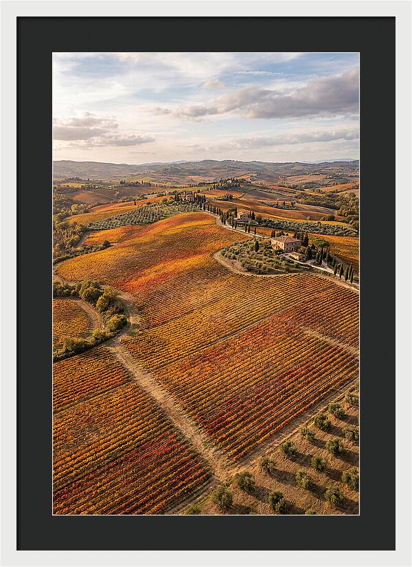 Seasonal Splendor In Tuscany