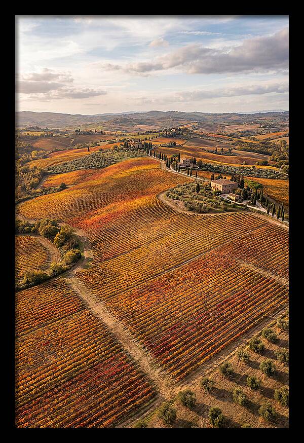 Seasonal Splendor In Tuscany