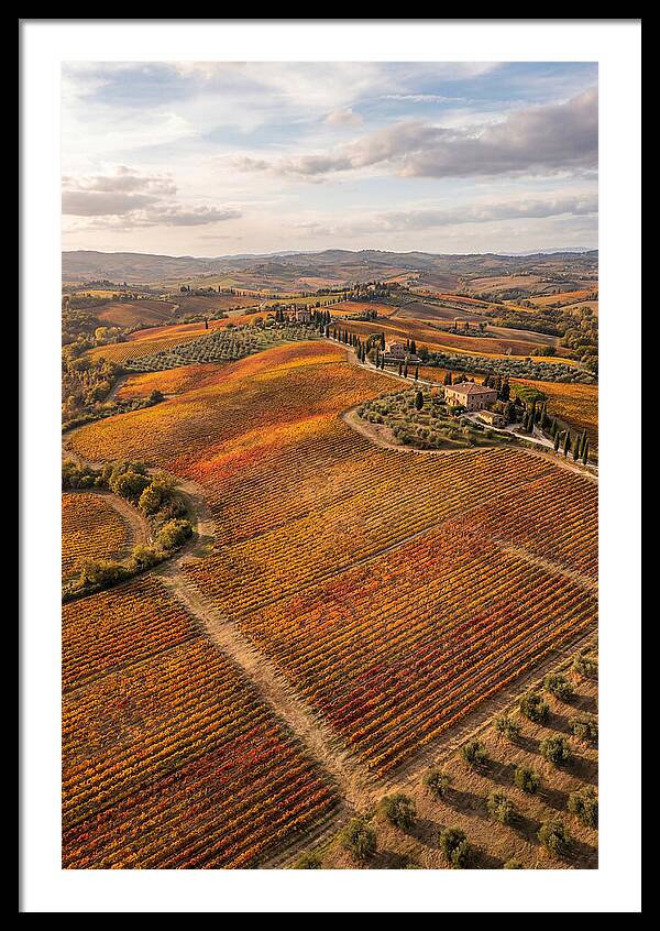 Seasonal Splendor In Tuscany