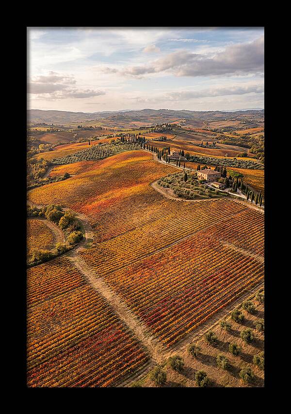 Seasonal Splendor In Tuscany