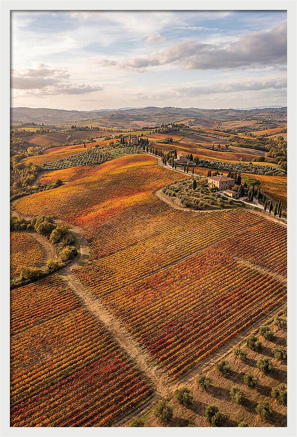 Seasonal Splendor In Tuscany