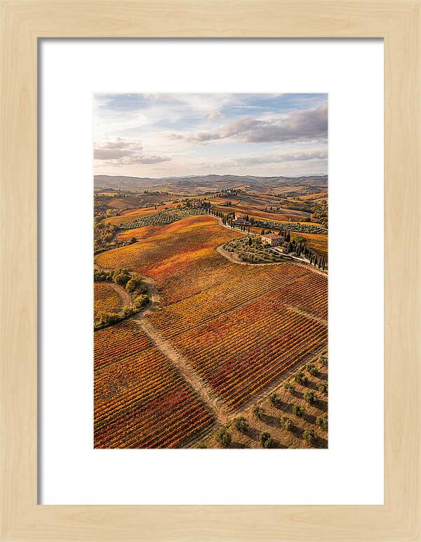 Seasonal Splendor In Tuscany
