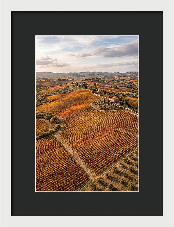 Seasonal Splendor In Tuscany