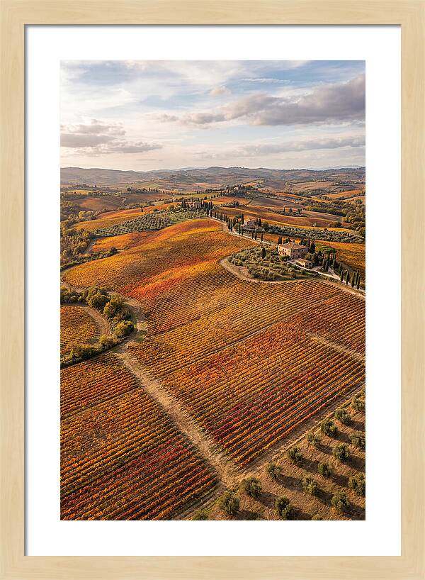 Seasonal Splendor In Tuscany