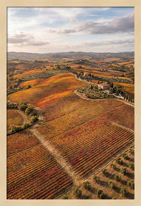 Seasonal Splendor In Tuscany