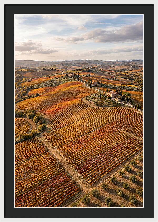 Seasonal Splendor In Tuscany