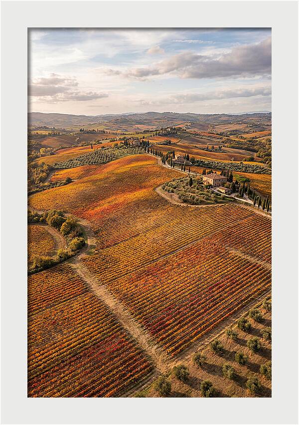 Seasonal Splendor In Tuscany