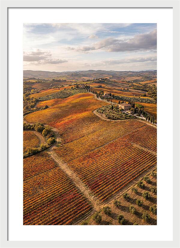 Seasonal Splendor In Tuscany