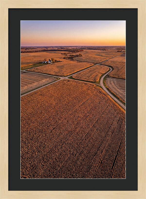 Seasonal Sunset Over Cornfields