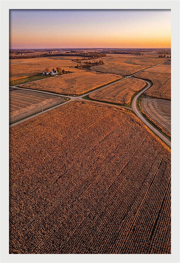 Seasonal Sunset Over Cornfields