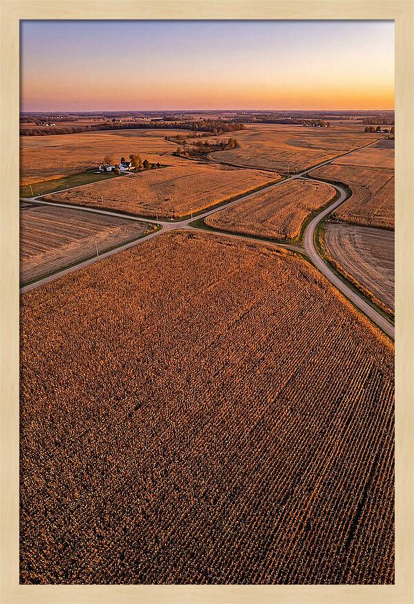 Seasonal Sunset Over Cornfields