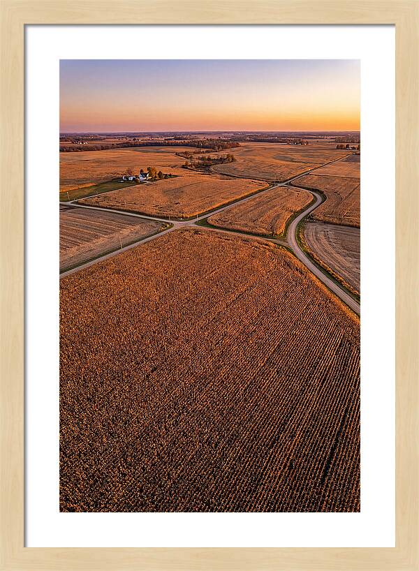 Seasonal Sunset Over Cornfields