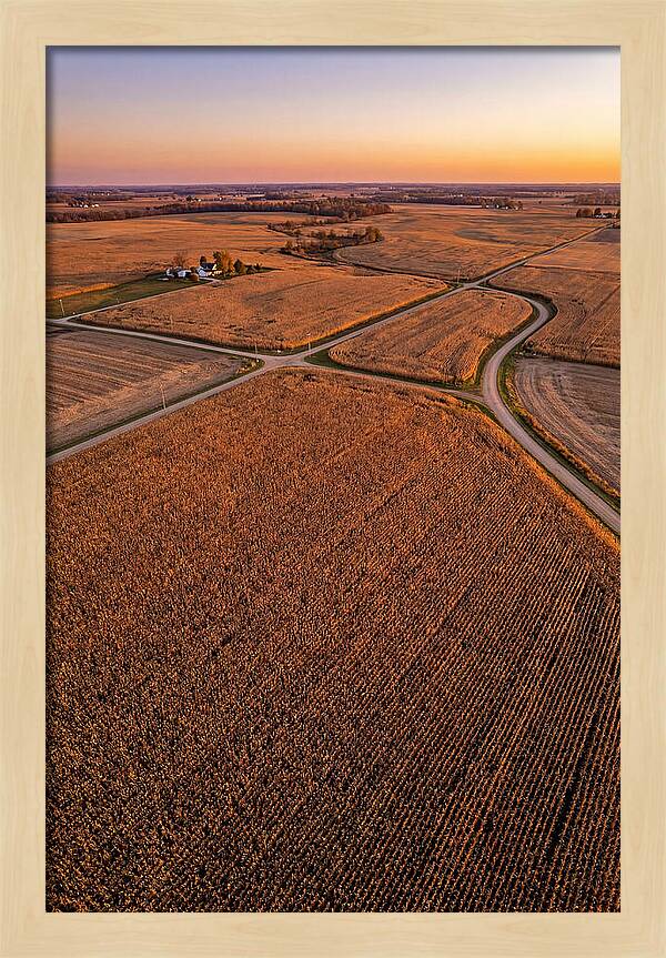Seasonal Sunset Over Cornfields