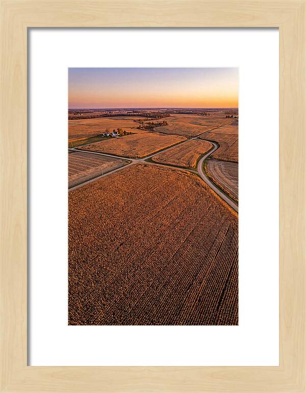 Seasonal Sunset Over Cornfields