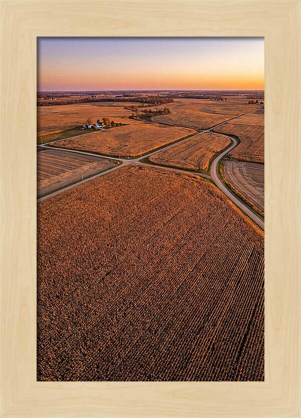Seasonal Sunset Over Cornfields