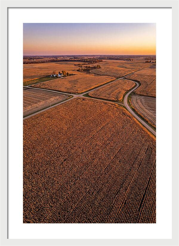 Seasonal Sunset Over Cornfields