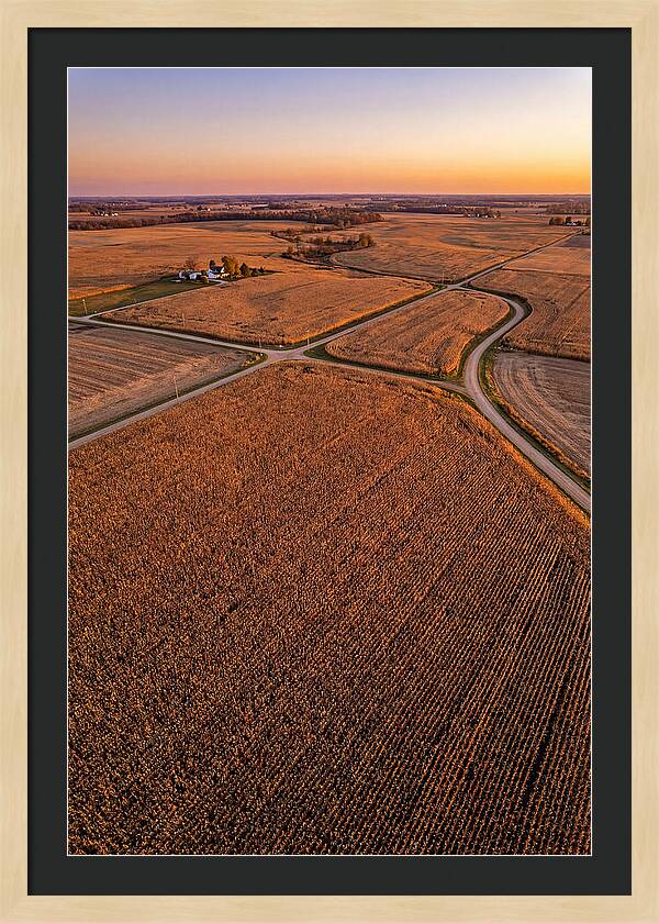 Seasonal Sunset Over Cornfields