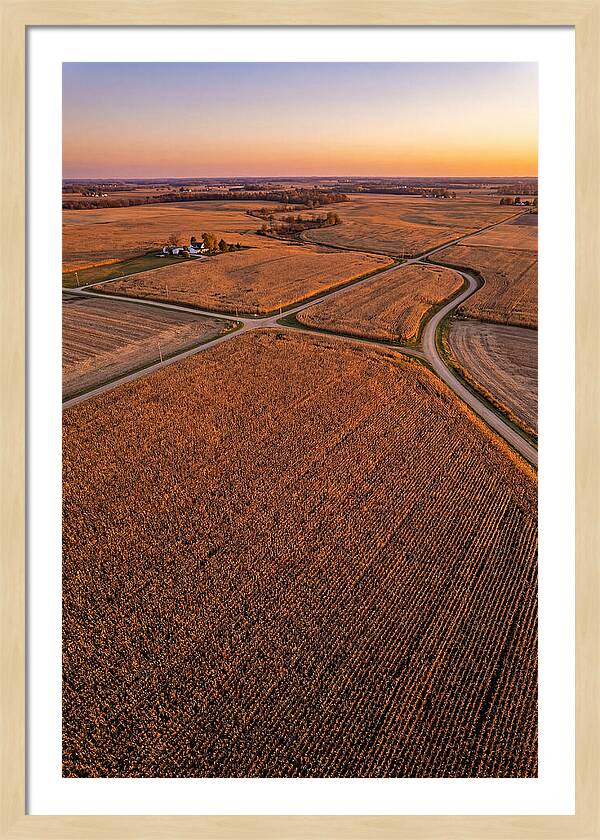 Seasonal Sunset Over Cornfields