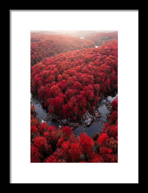 Seasonal Symphony Of Red