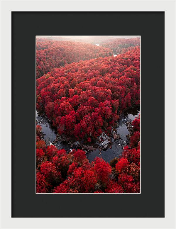 Seasonal Symphony Of Red