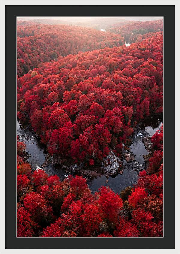 Seasonal Symphony Of Red
