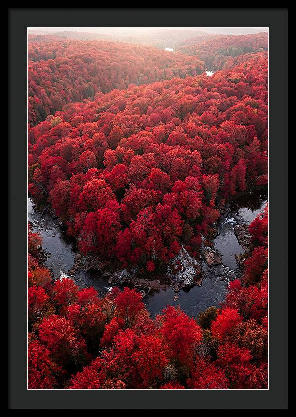 Seasonal Symphony Of Red