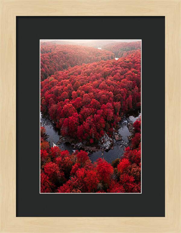 Seasonal Symphony Of Red