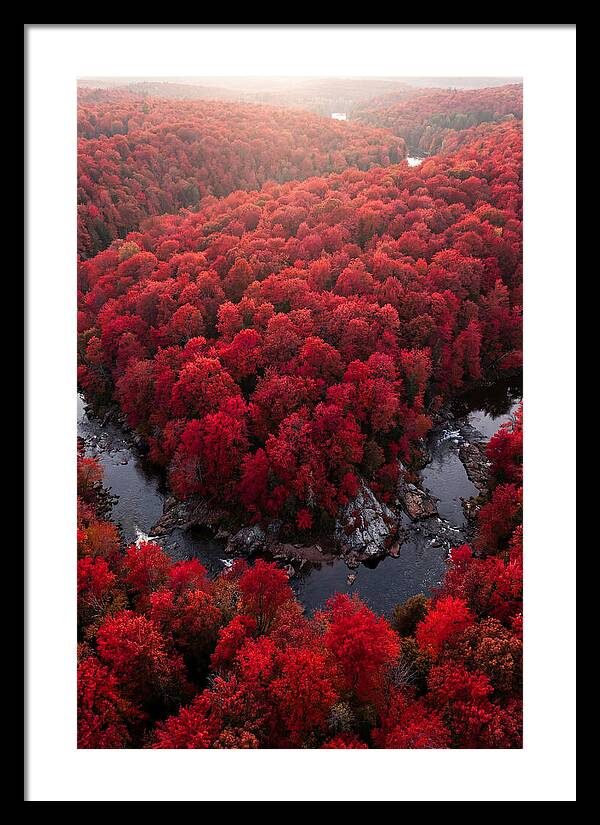 Seasonal Symphony Of Red
