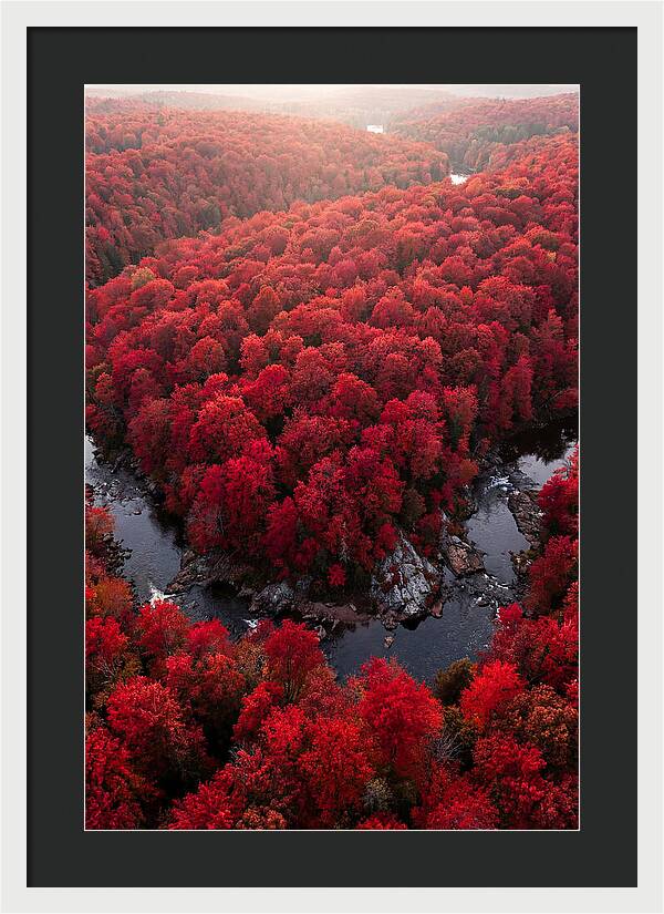 Seasonal Symphony Of Red