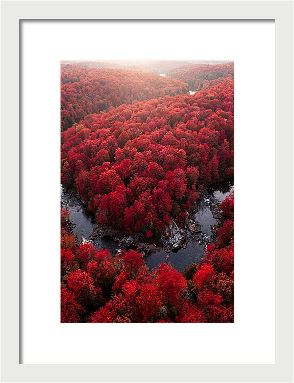 Seasonal Symphony Of Red
