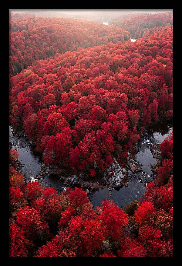 Seasonal Symphony Of Red
