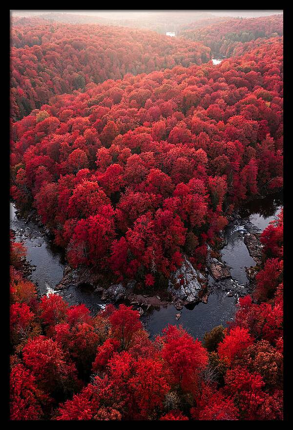 Seasonal Symphony Of Red