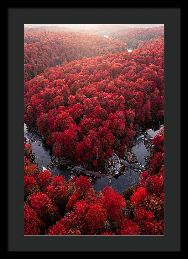 Seasonal Symphony Of Red