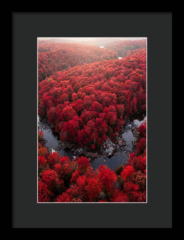 Seasonal Symphony Of Red