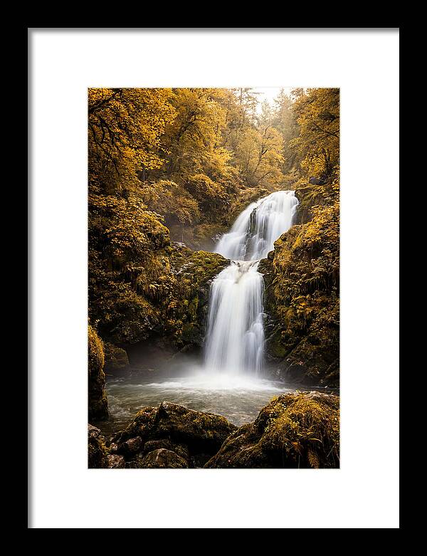 Seasonal Waterfall Serenity