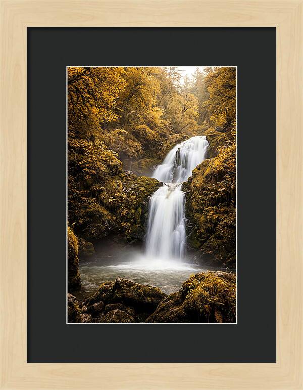 Seasonal Waterfall Serenity