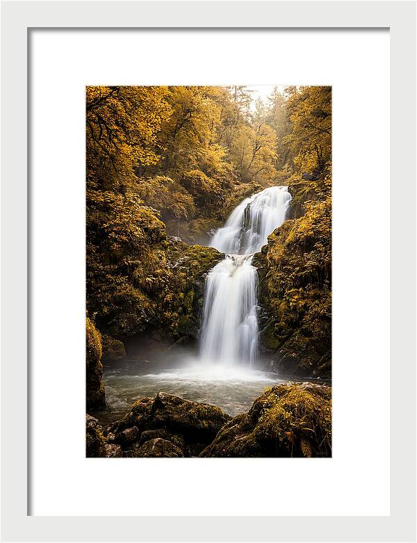 Seasonal Waterfall Serenity