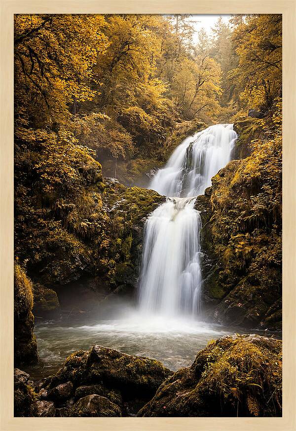 Seasonal Waterfall Serenity
