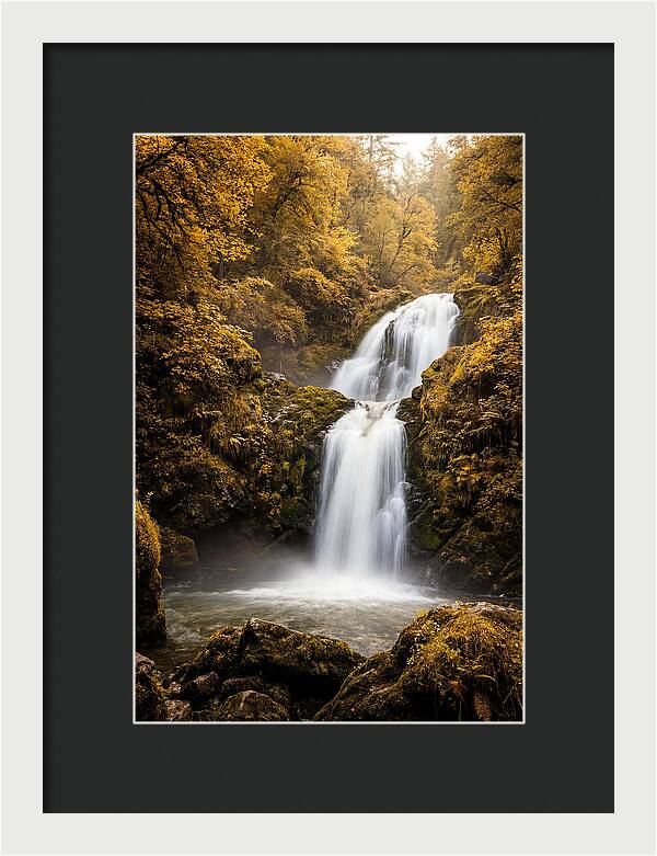Seasonal Waterfall Serenity