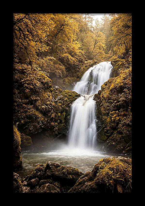 Seasonal Waterfall Serenity