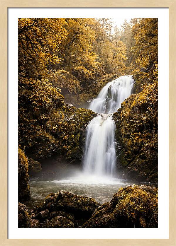 Seasonal Waterfall Serenity