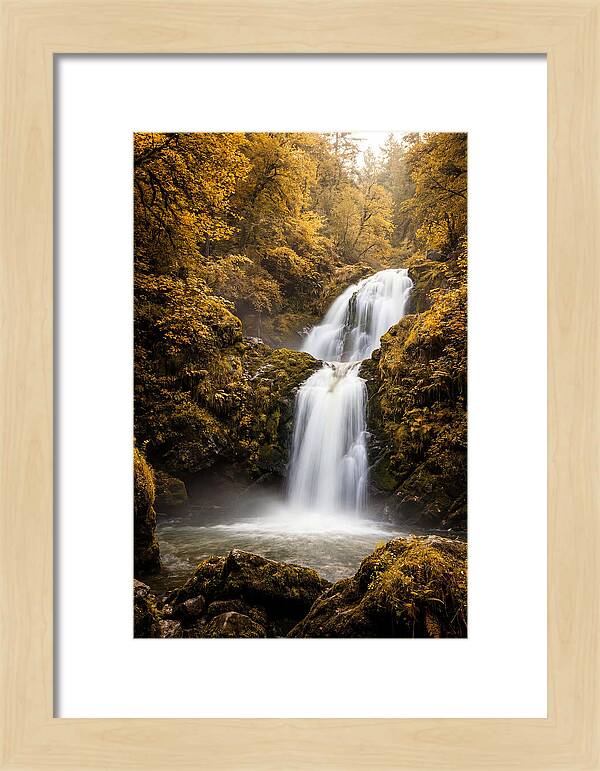 Seasonal Waterfall Serenity