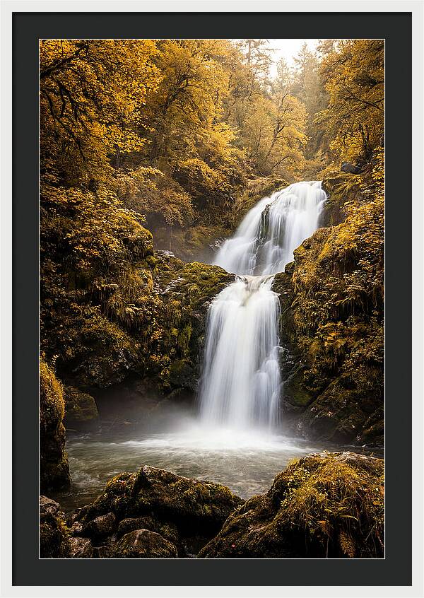 Seasonal Waterfall Serenity