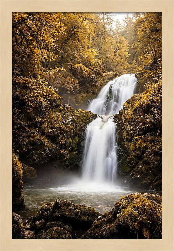 Seasonal Waterfall Serenity