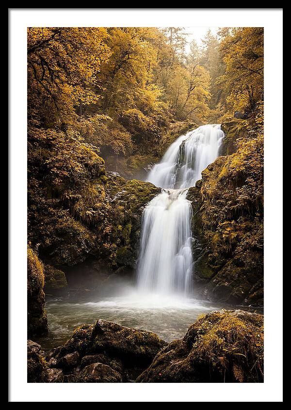 Seasonal Waterfall Serenity