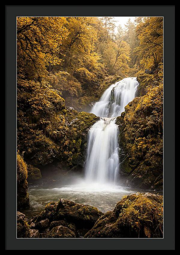 Seasonal Waterfall Serenity