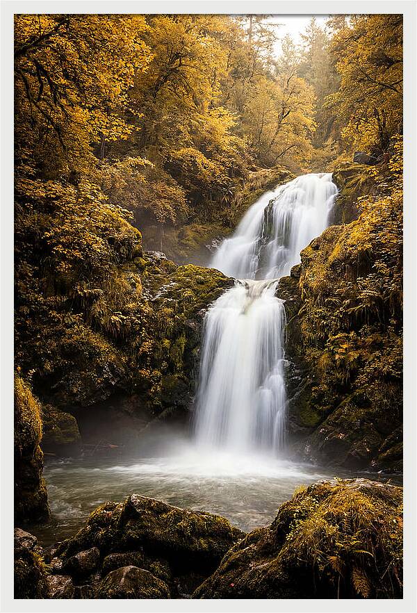 Seasonal Waterfall Serenity