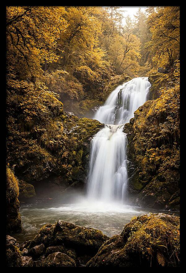 Seasonal Waterfall Serenity