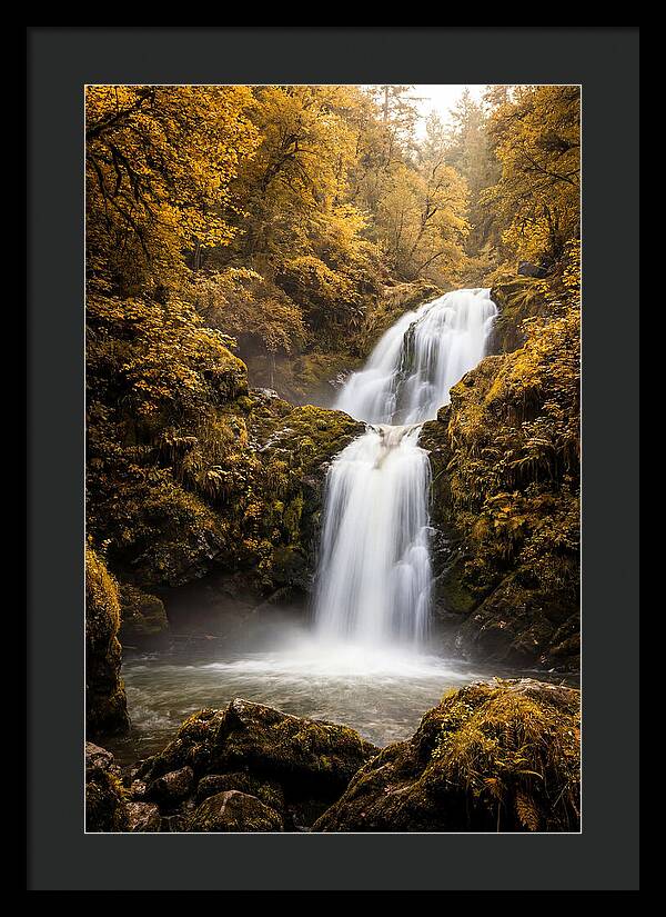 Seasonal Waterfall Serenity